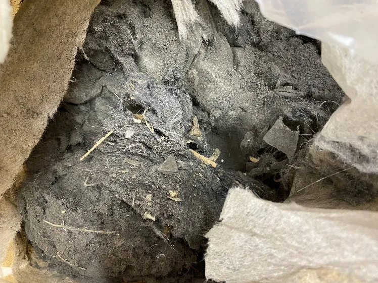 Collected debris from cleaning robot